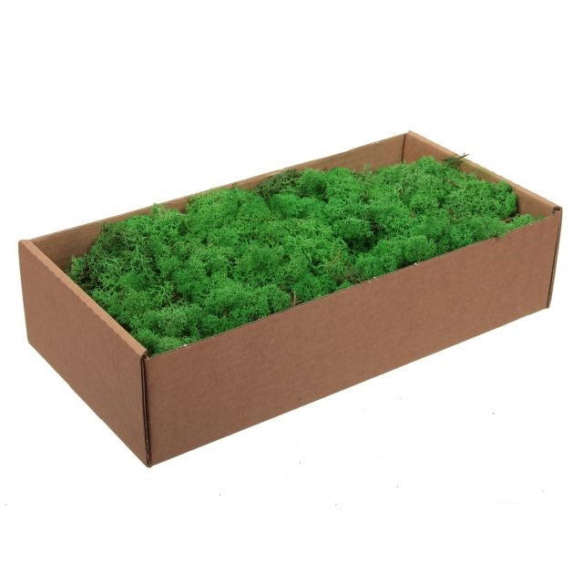 Izlandi zuzmó dobozban 300g zöld
